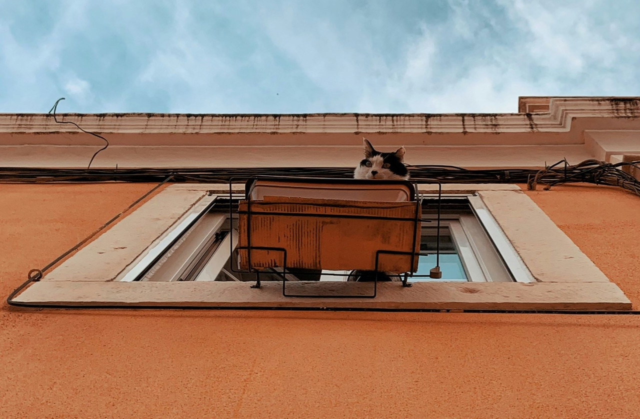 O que deve fazer antes de comprar casa? 