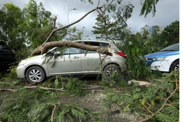 Carro danificado por queda de árvore? Saiba quem se responsabiliza pelos custos 
