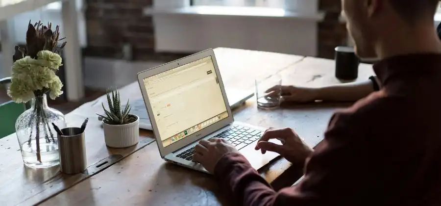 Homem em frente a computador com mãos no teclado sentado em mesa com plantas simbolizando IRS