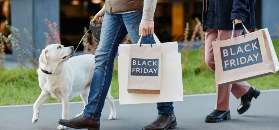 Black Friday: Direção-Geral do Consumidor alerta para riscos nas promoções 