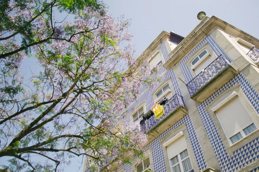 Fachada de prédio tradicional com azulejos azuis e brancos, visto de baixo, com uma árvore florida à frente e roupa amarela pendurada na varanda.
