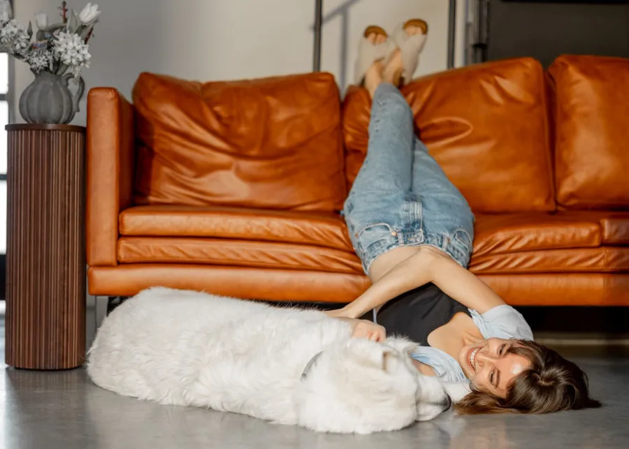 Precisa de poupar? Este desafio permite amealhar quase 6 mil euros por ano 